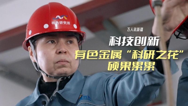 政府数据治理标准规范：制定指南与实施要点